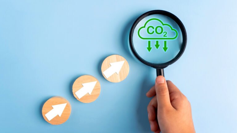 Impact of Aircraft Emissions on Stratospheric Ozone